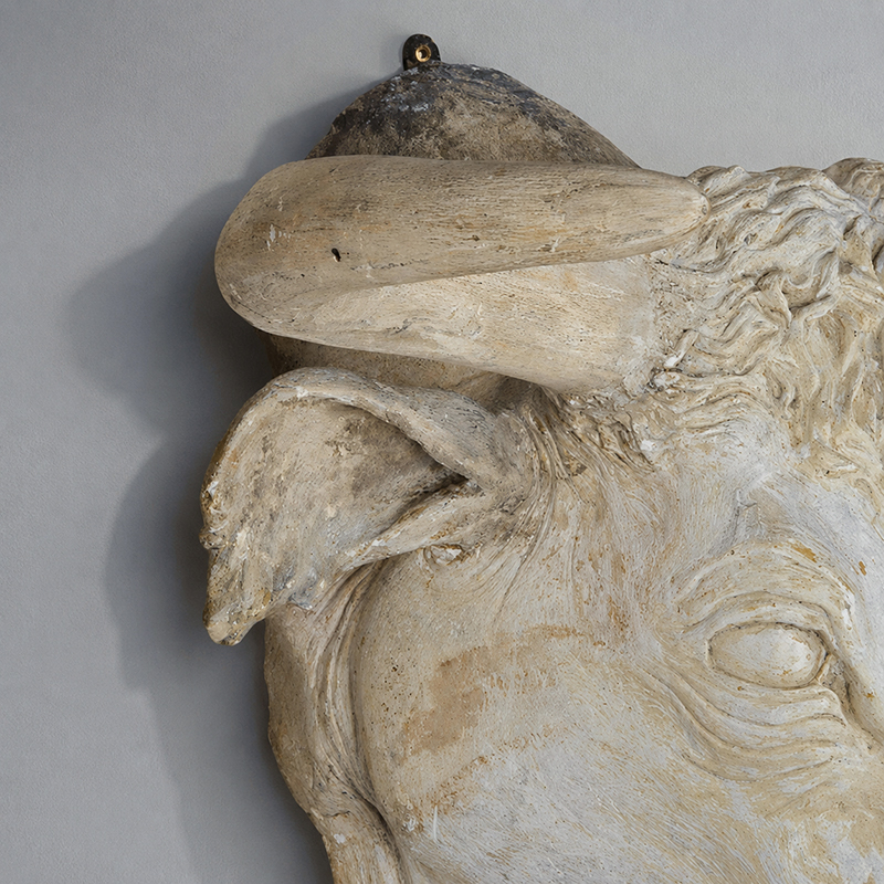 Bull head 3