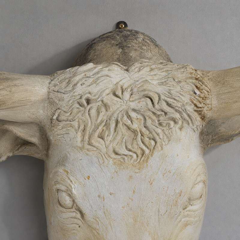Bull head 4