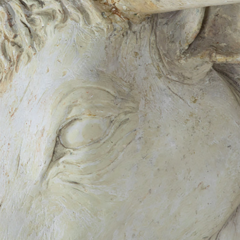 Bull head 5