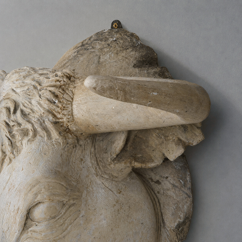 Bull head 6